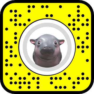 moodeng snapcode png